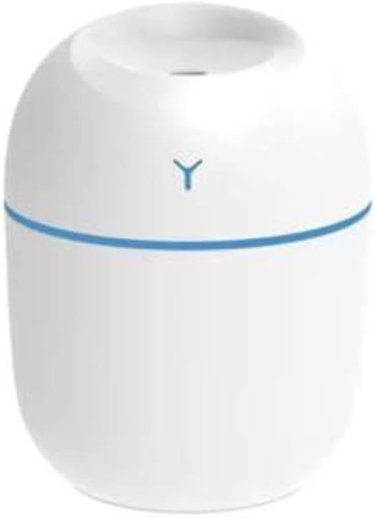 Home.Co- Mini USB Humidifier