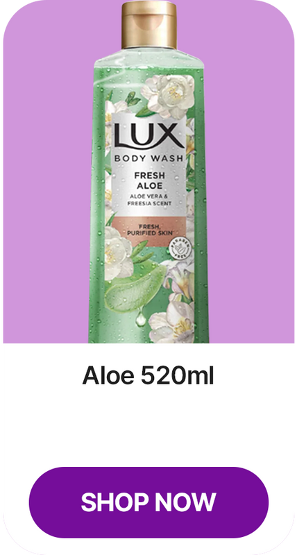 lux-body-wash-aloe-box-12x520ml