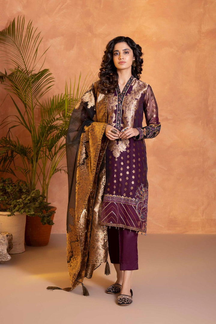 Sapphire 3 Piece - Embroidered Organza Suit