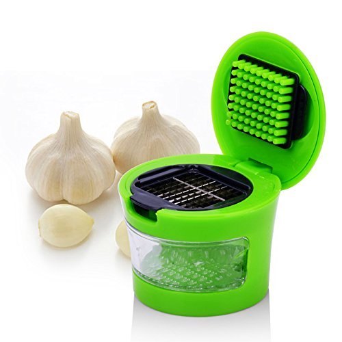 Home.Co -  Mini Garlic Press