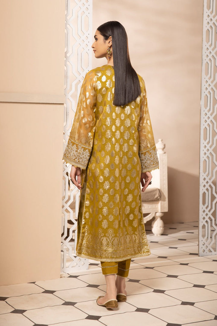 Sapphire Embroidered Organza Suit