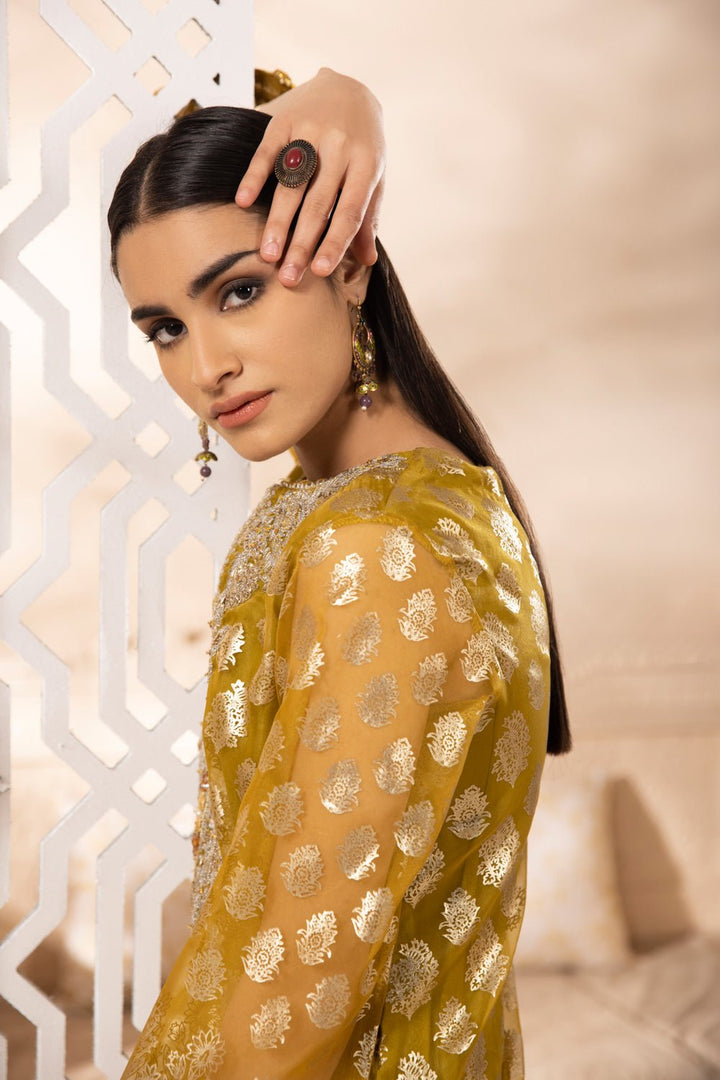 Sapphire Embroidered Organza Suit